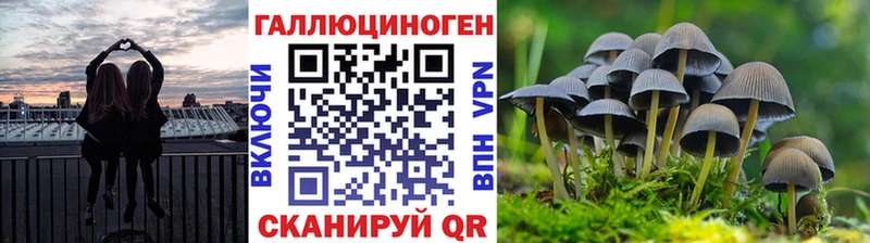 где найти наркотики  Нолинск  Галлюциногенные грибы мицелий 