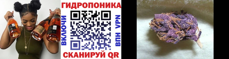 Марихуана AK-47  где найти наркотики  Нолинск 